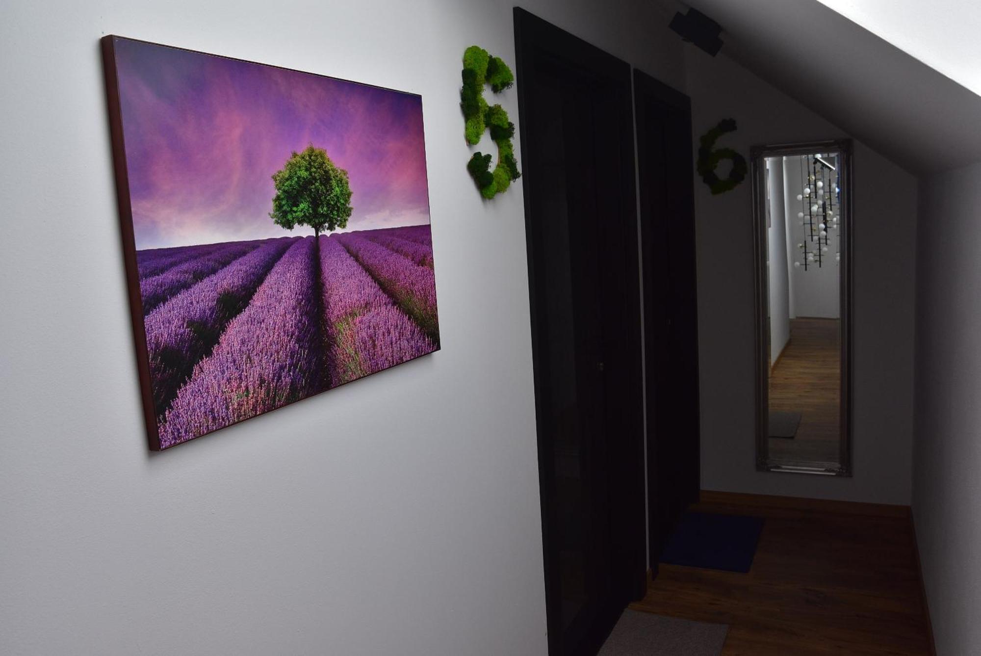 Apartmany Zakovce & Spa ヴェルカー・ロムニツァ エクステリア 写真